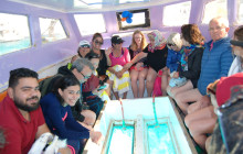 Egypt Gift Tours2