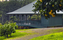 Hawaii Cacao LLC17
