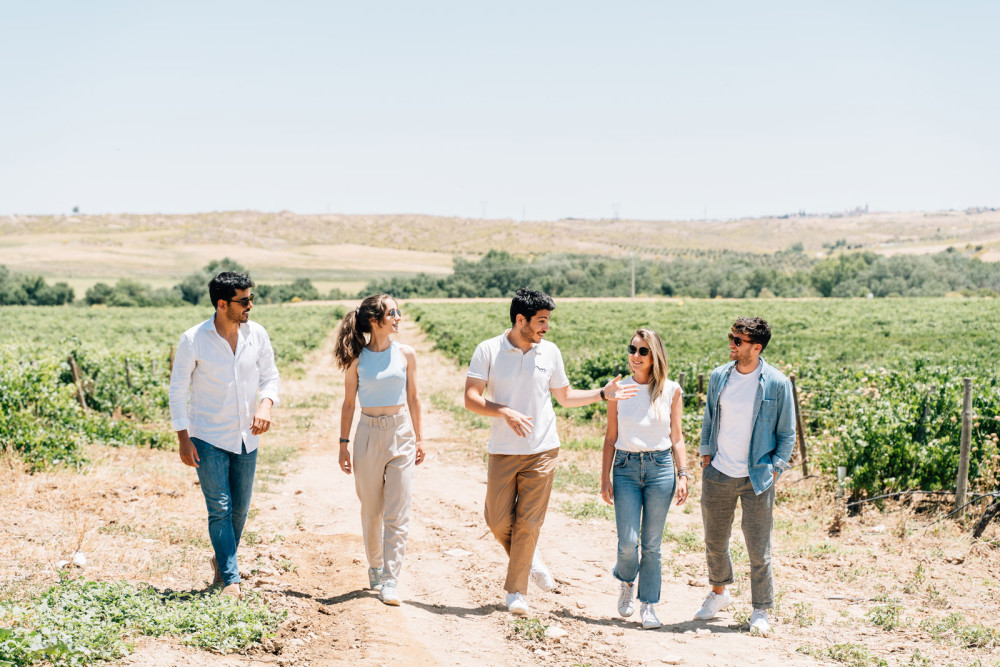 Private Toledo City Tour & Winery Experience with Tasting from Madrid