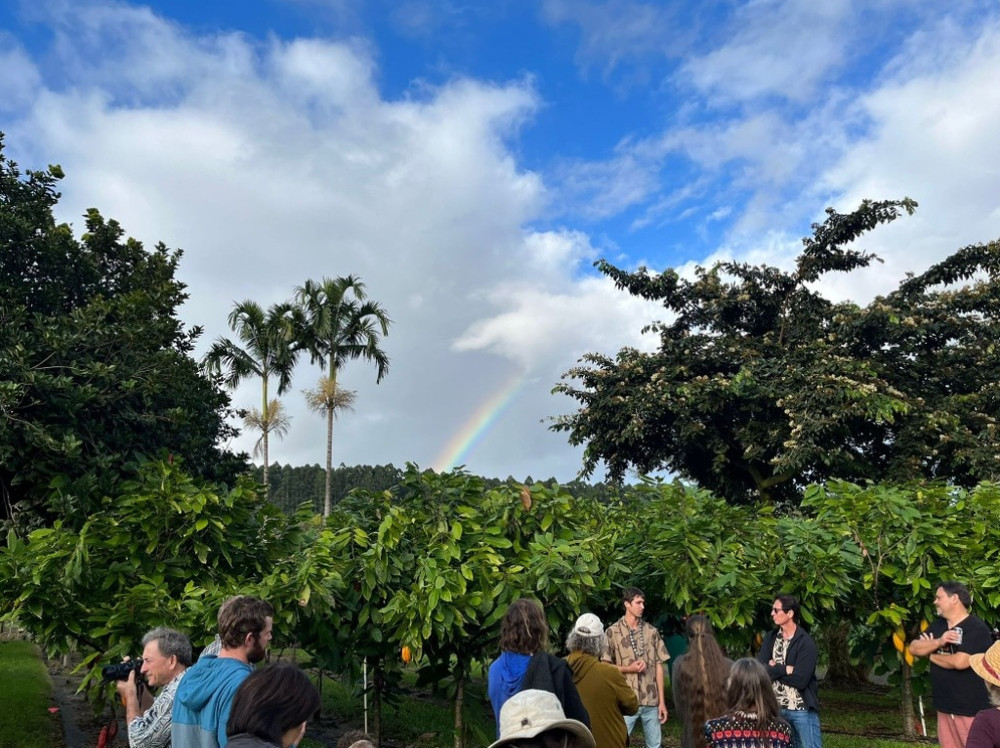 Hawaii Cacao LLC