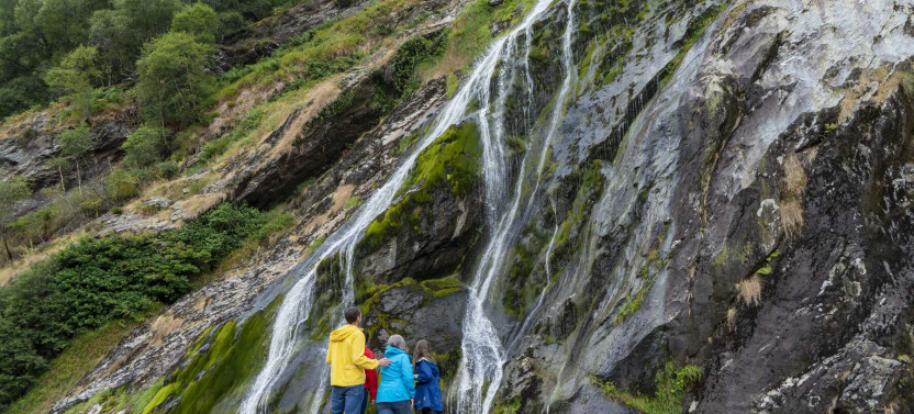 From Dublin: Wicklow, Glendalough, Waterfall & Sheepdog demo