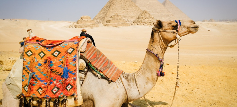 Full-Day Tour From Cairo: Giza Pyramids, Memphis, Saqqara & Dashur