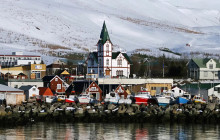 Your Friend in Reykjavik6
