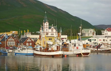 Your Friend in Reykjavik16