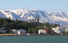 Your Friend in Reykjavik1