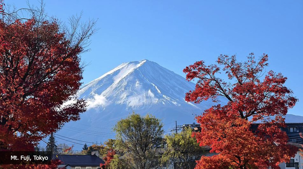8 Days Private: The Best of Japan from Tokyo to Kyoto 3-Star