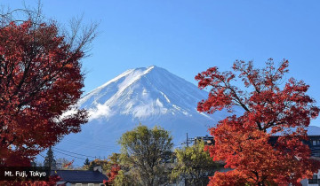 A picture of 8 Days Private: The Best of Japan from Tokyo to Kyoto 3-Star