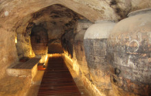 Valencia Wine Consulting & Tours2