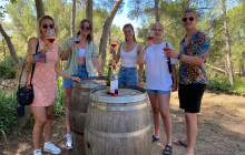 Valencia Wine Consulting & Tours3