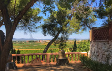 Valencia Wine Consulting & Tours4