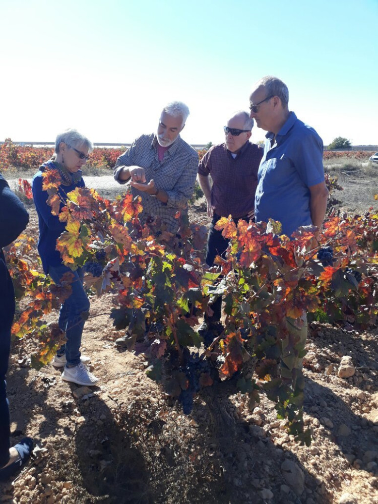 Valencia Wine Consulting & Tours