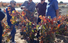 Valencia Wine Consulting & Tours6