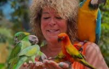 Fun Tours Jamaica Limited3