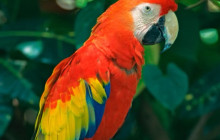 Fun Tours Jamaica3