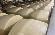 Acetaia Malagoli Daniele8