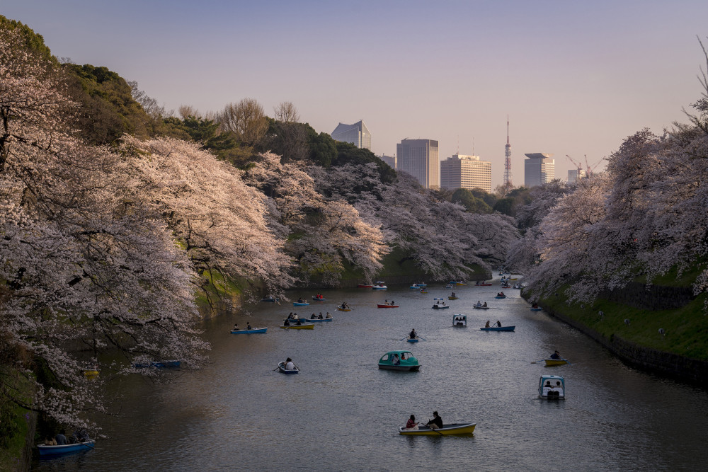 Private Tokyo Street Photo Tour