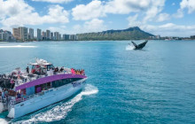 Pink Sails Waikiki11