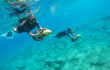 AQUADIVE unique scuba experience14