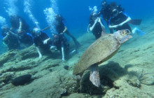 AQUADIVE unique scuba experience6