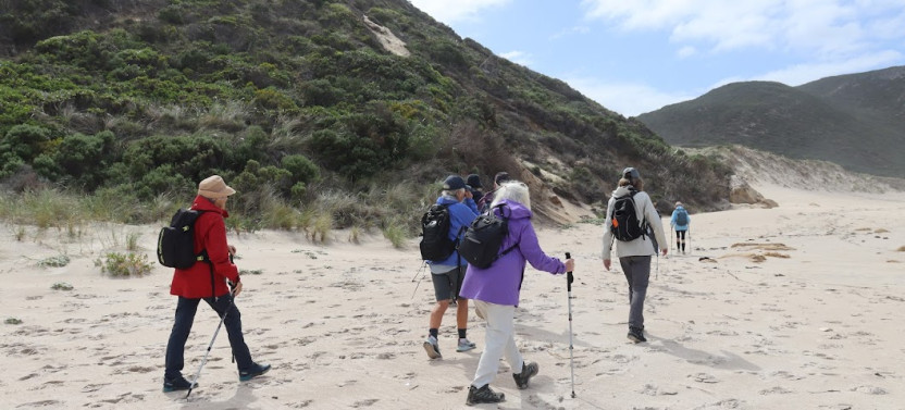 4 Days Cape to Cape Walk