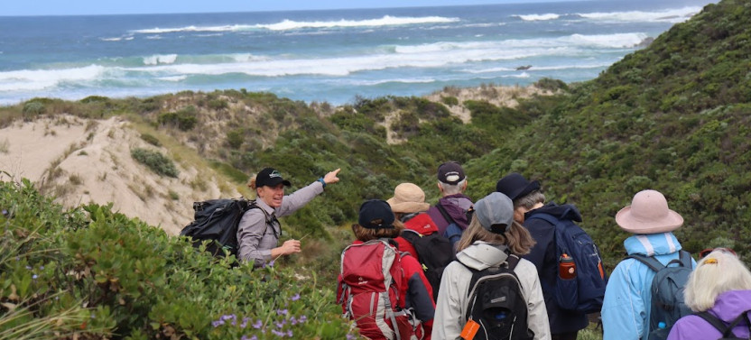 4 Days Cape to Cape Walk