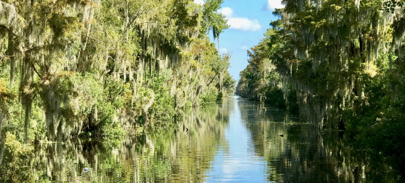New Orleans Small Airboat Ride