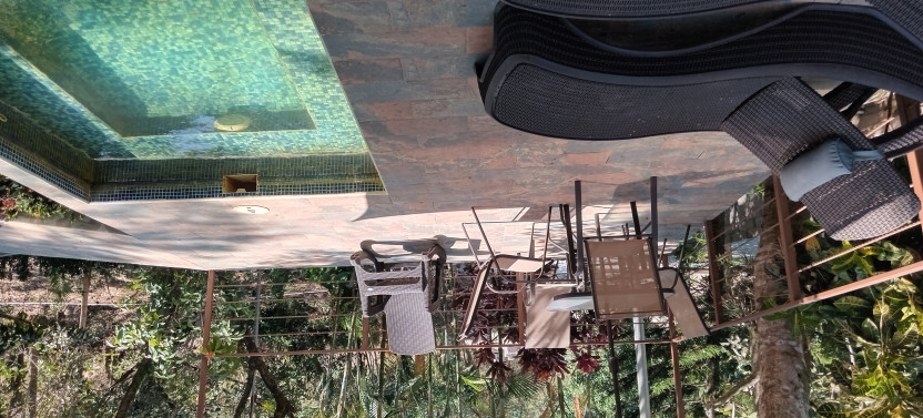 From Coffee to Thermal Waters Tour