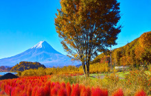 Tuyi Group Japan Co., Ltd.9