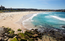 LETS GO SURFING3