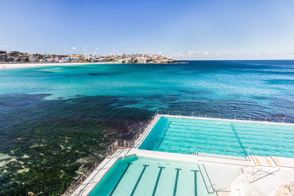 Half Day Bondi Local Tour