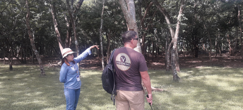 4-Hour Pipil Tour: Tesak Museum and Cihuatan Ruins