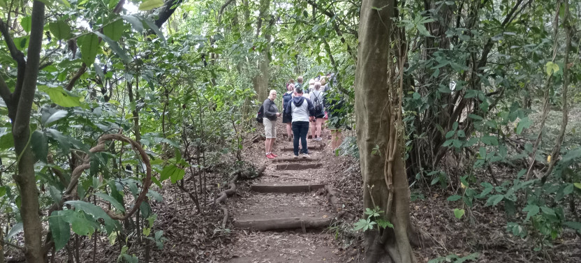 Cerro Verde with Izalco