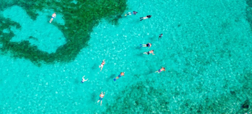 Nurse Shark & Shipwreck Snorkel