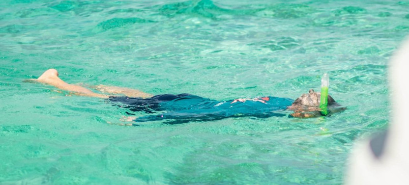 Nurse Shark & Shipwreck Snorkel