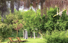 Acetaia Malagoli Daniele7