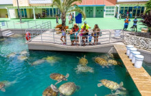 Captain Bryan's Stingray City1