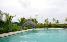 Captain Bryan's Stingray City7