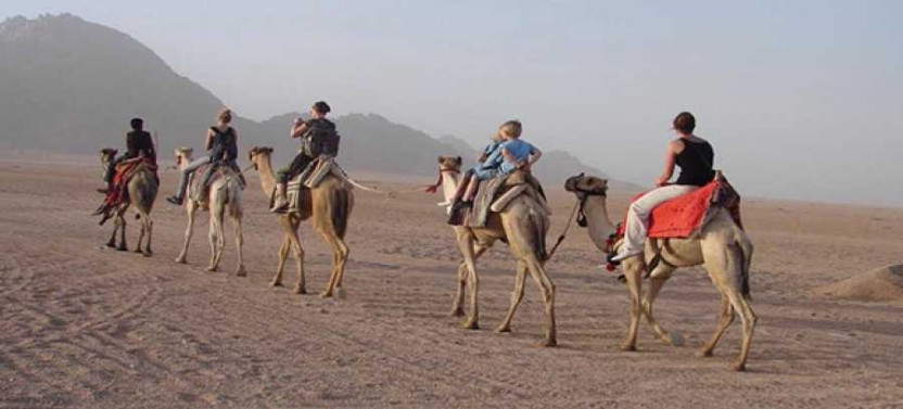 Sunset Desert Quad Bike Safari with Camel Ride & Bedouin Dinner in Hurghada