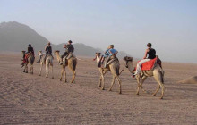 Egypt Gift Tours2