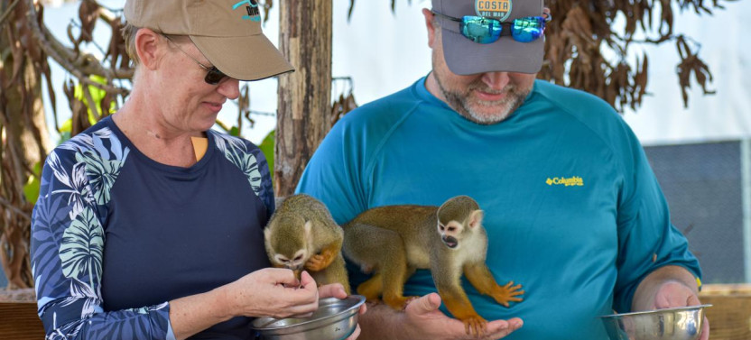 Monkey Mania Puerto Plata