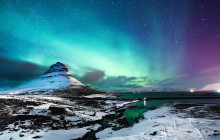 Your Friend in Reykjavik1