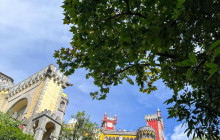 Ó Turista! Tours and Trips42