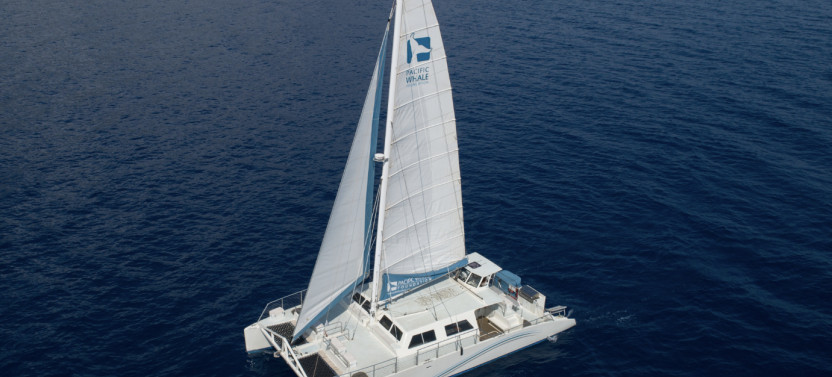 Maui Snorkel & Sunset Sail