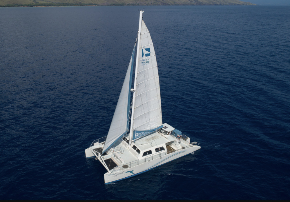 Pacific Whale Foundation