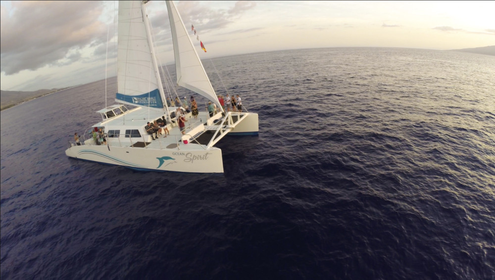Pacific Whale Foundation