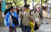 Discover Lisbon9