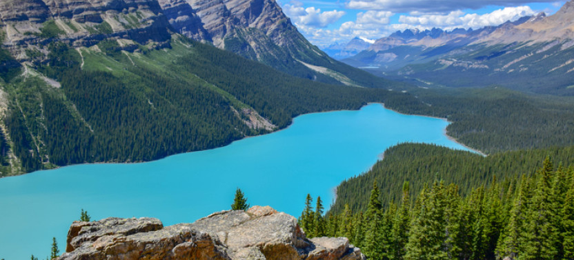 Customizable Private Half Day: Moraine Lake, Lake Louise & Beyond