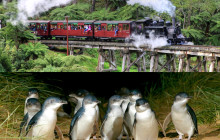 Wine Hop And Coastal Tours Pty Ltd1