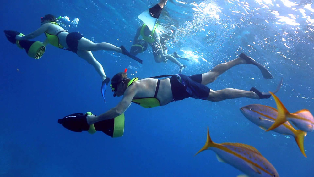Amazing Roatan Tours