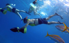 Amazing Roatan Tours20